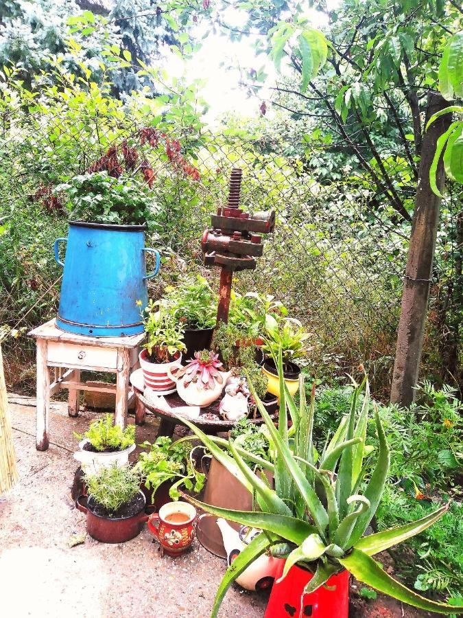Apartamento FAnima vendégház Verőcemaros Exterior foto